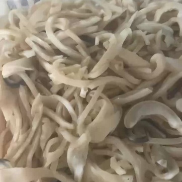 羊皮丝