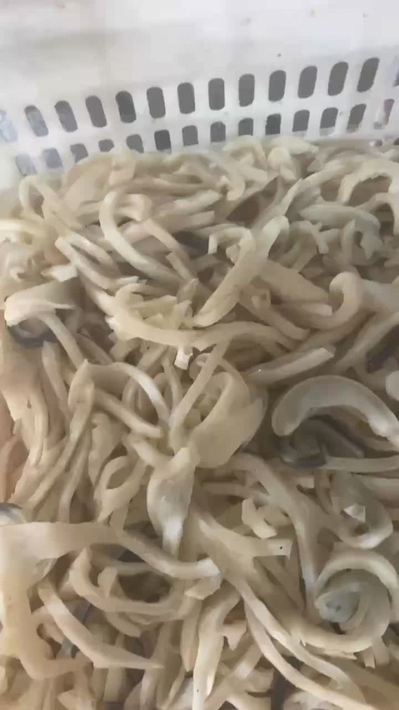 羊皮丝