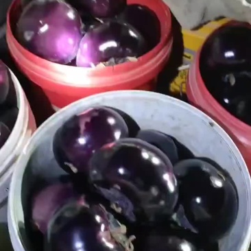 大量上货