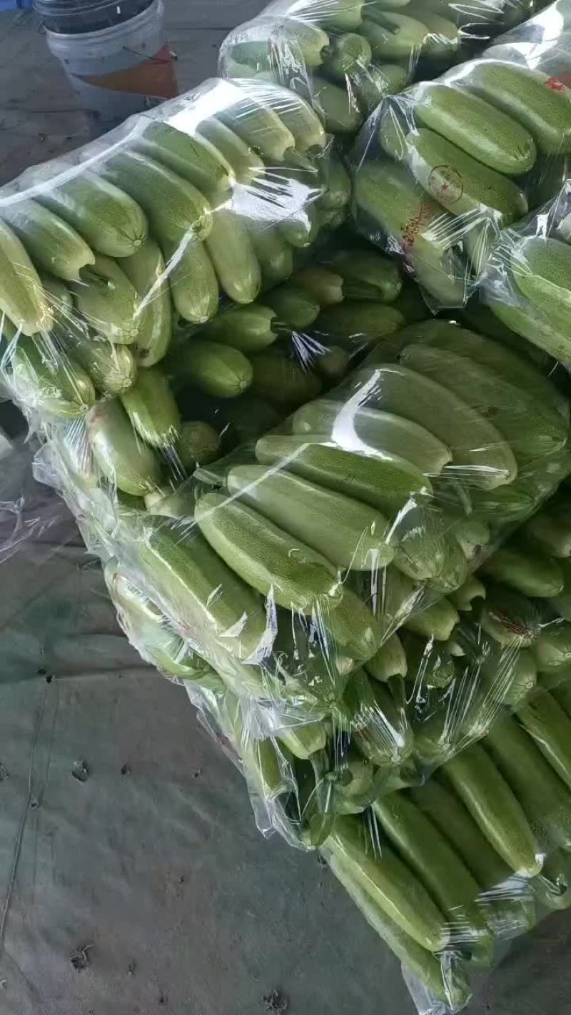 大量上货