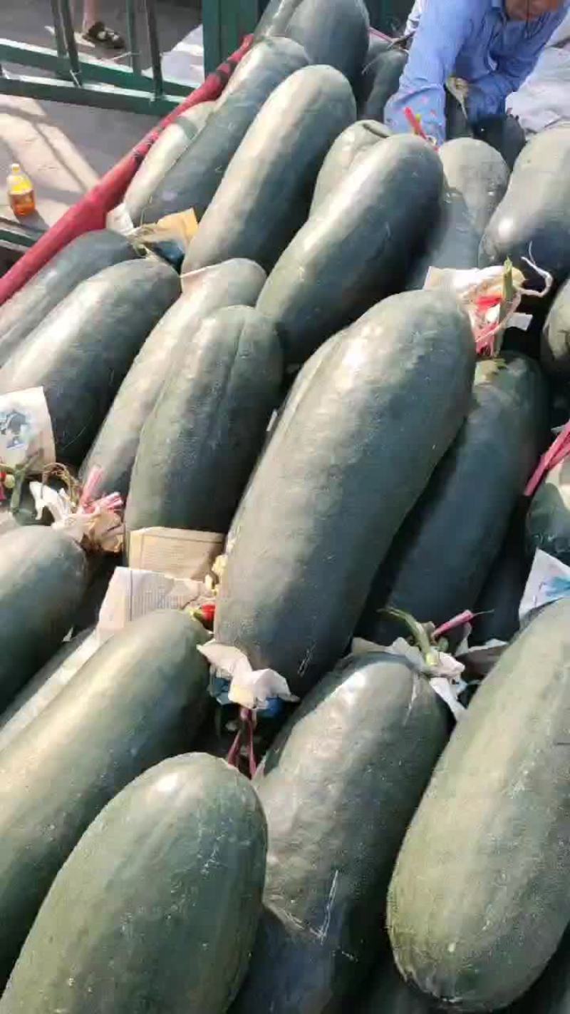 冬瓜