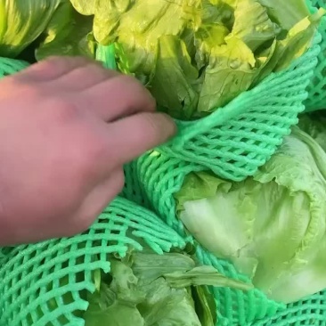 生菜🥬上市，需要的朋友可以联系我