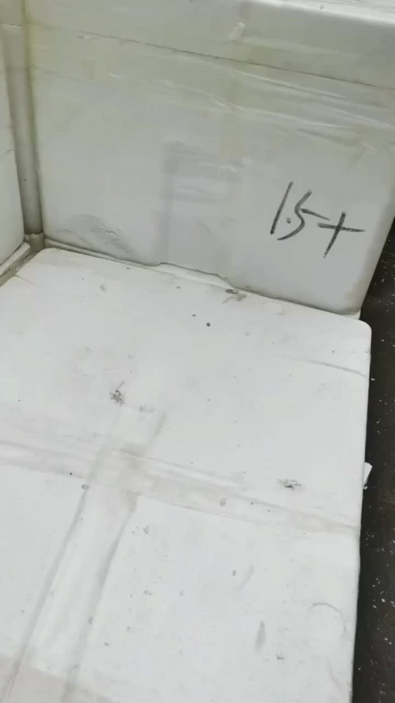 山东蚝1.5+～4+