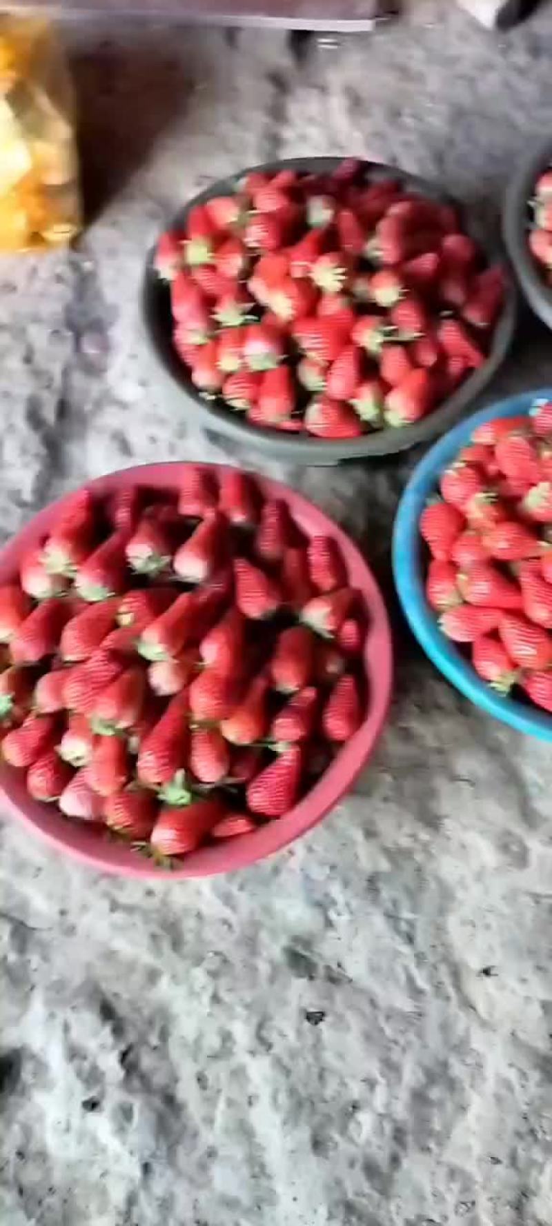 章姬奶油草莓