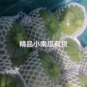 精品小南瓜，有货