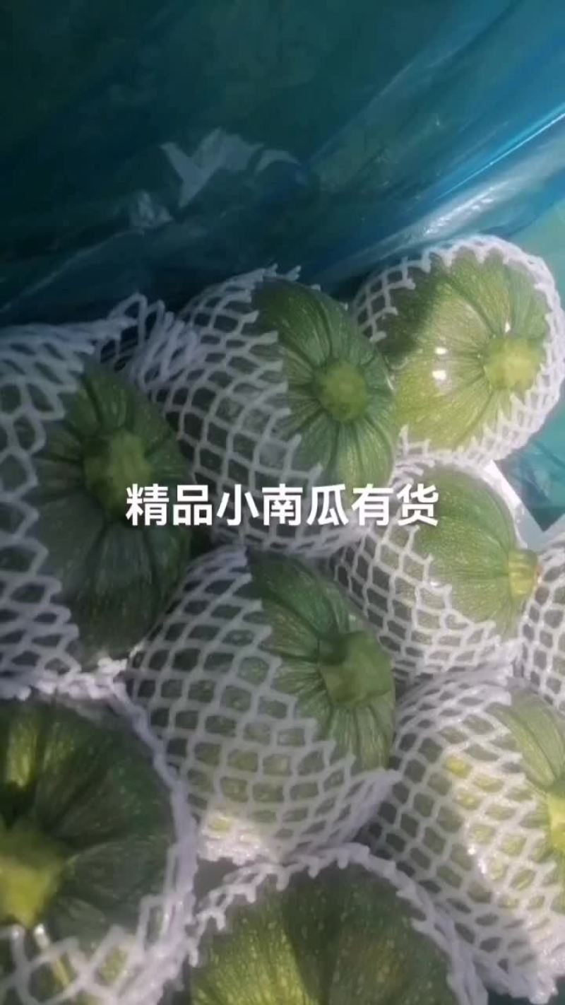 精品小南瓜，有货