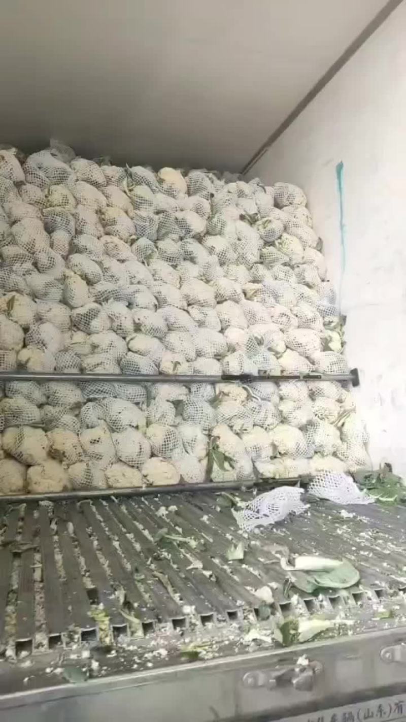 菜的颜色非常漂亮