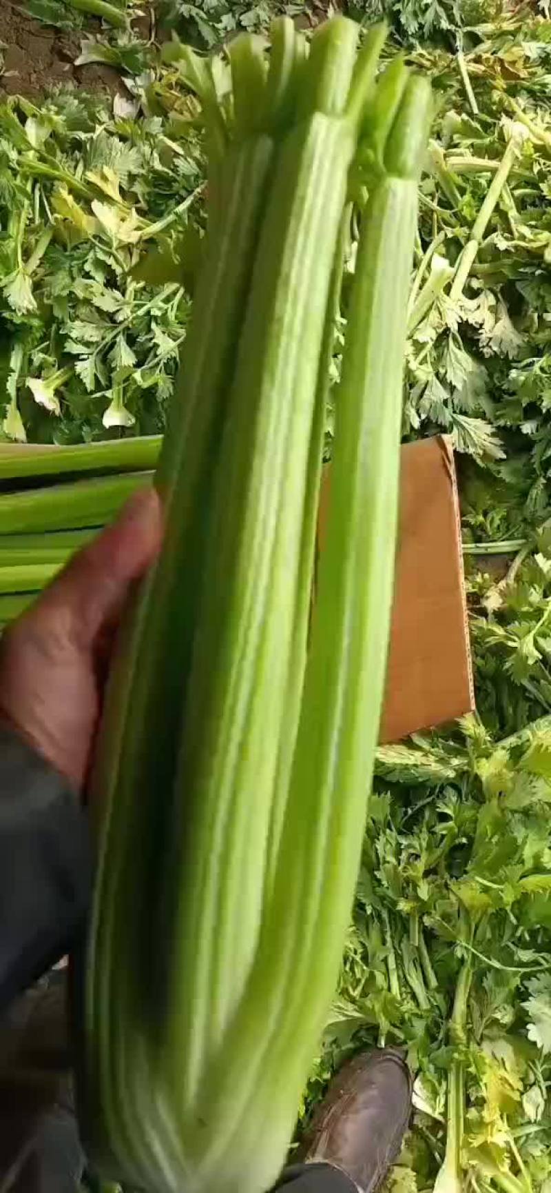 西芹