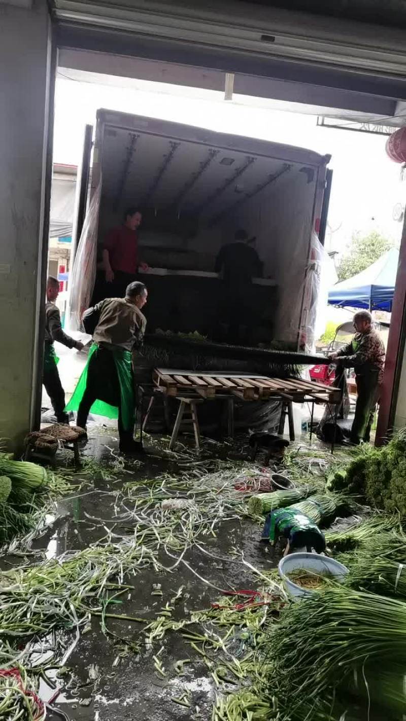 蒜苔质量好