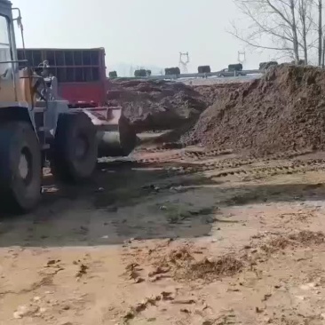 优质兔粪大量出货