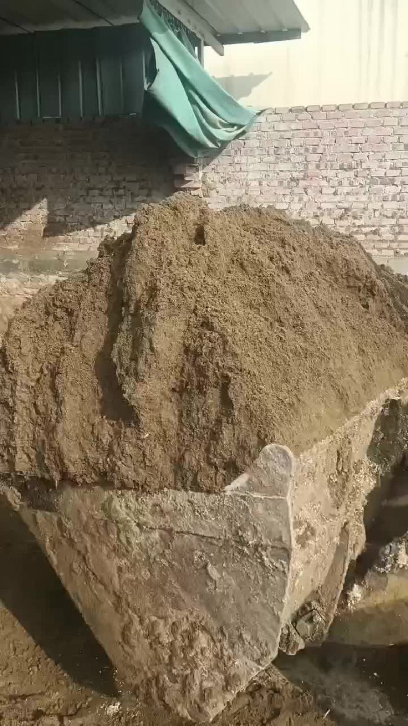 优质兔粪大量出货