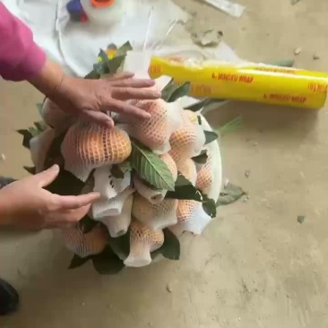 云霄枇杷