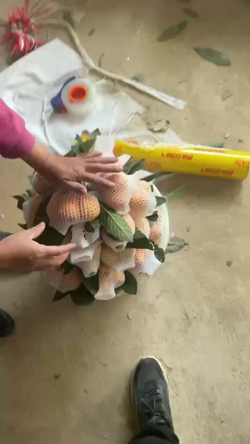 云霄枇杷