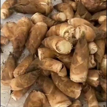 春笋有需要可以联系我们