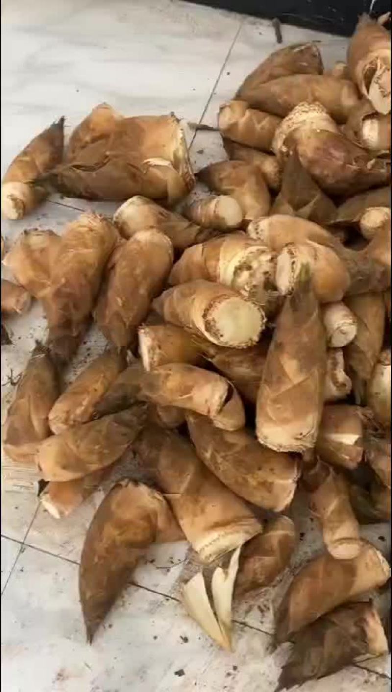 春笋有需要可以联系我们