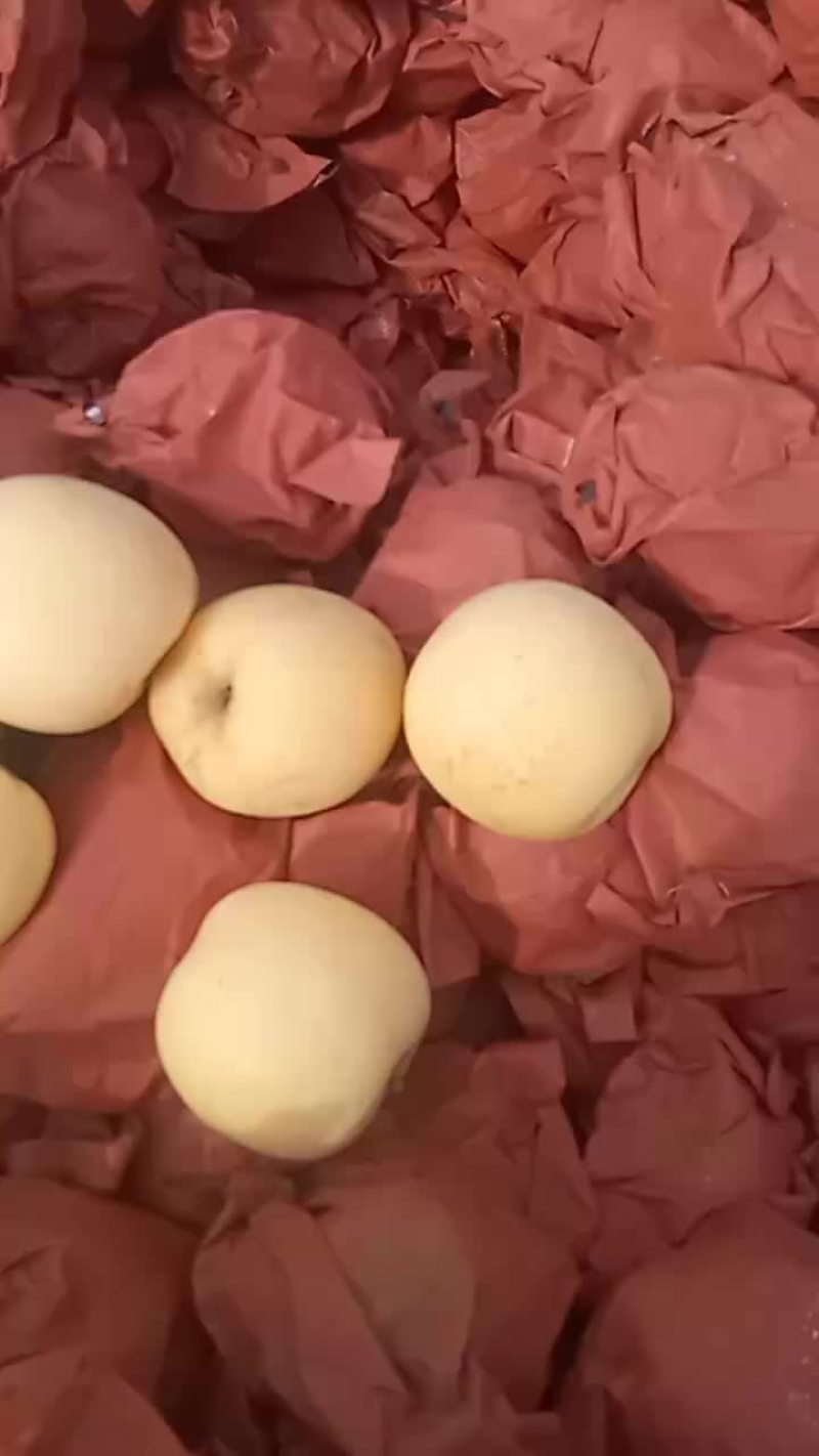 奶油富士小果65/75冷库大量现货！