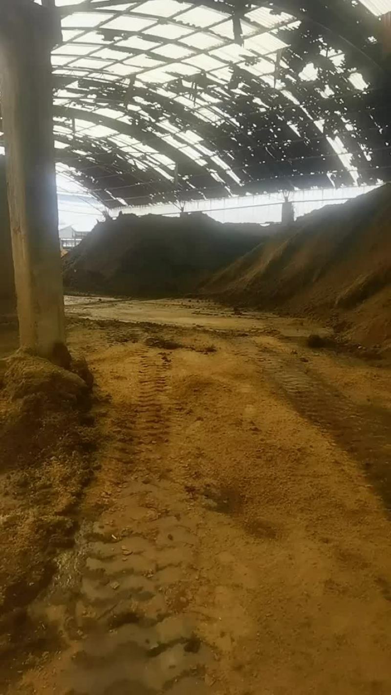 发酵牛粪