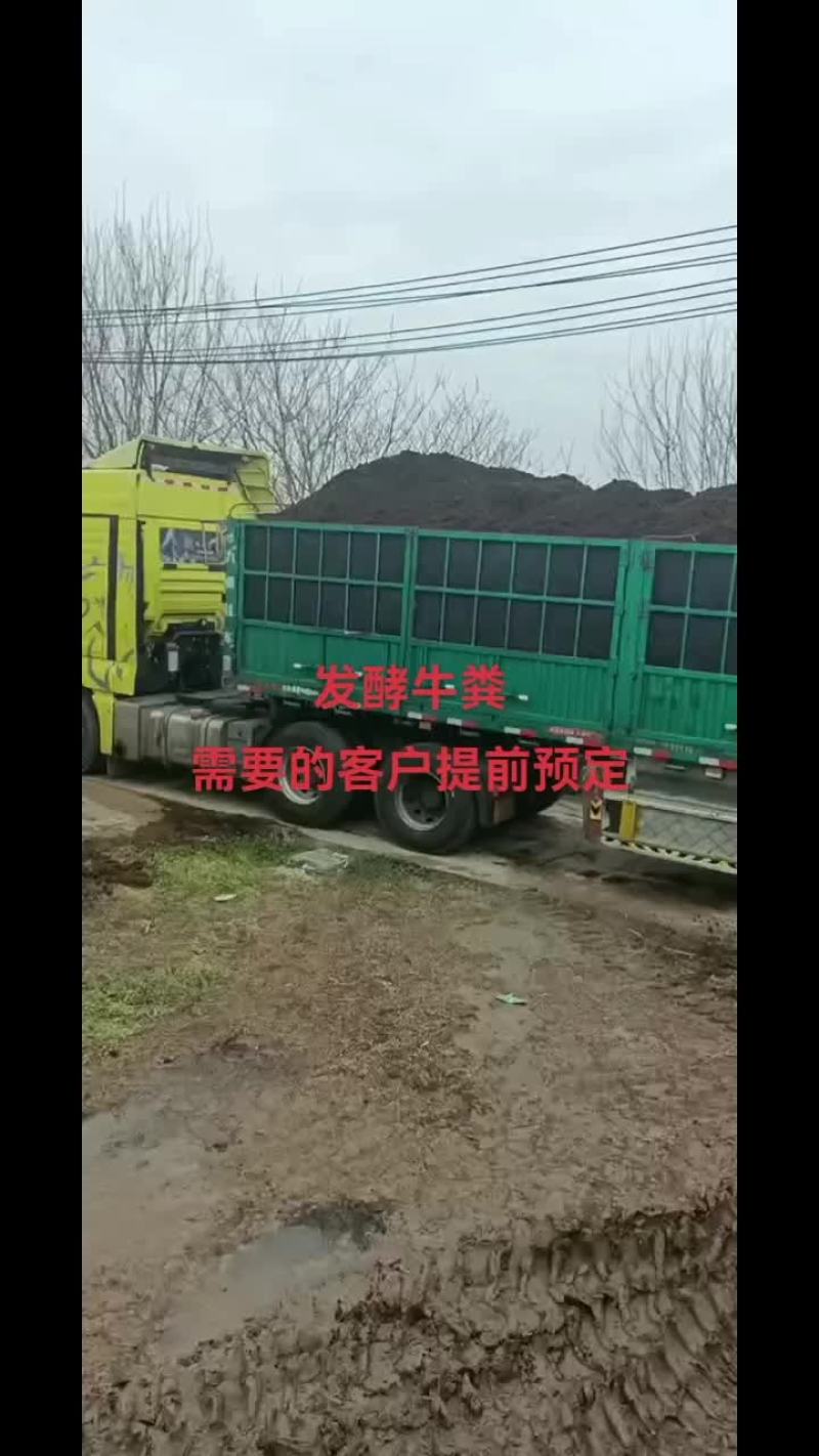 发酵牛粪