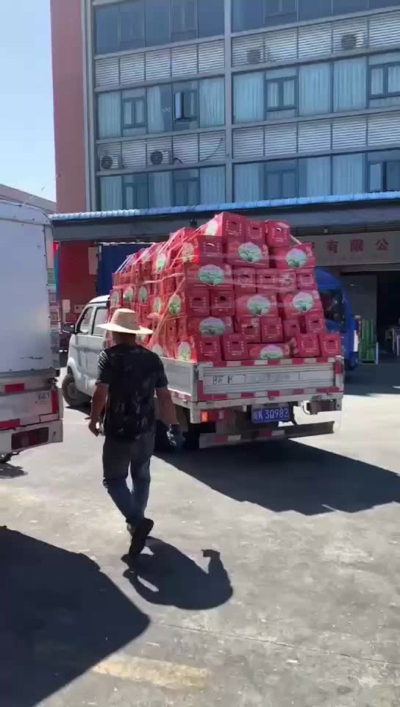 西瓜，甜王，黑美人，无籽瓜，美都麒麟瓜，甘美4K，散装瓜