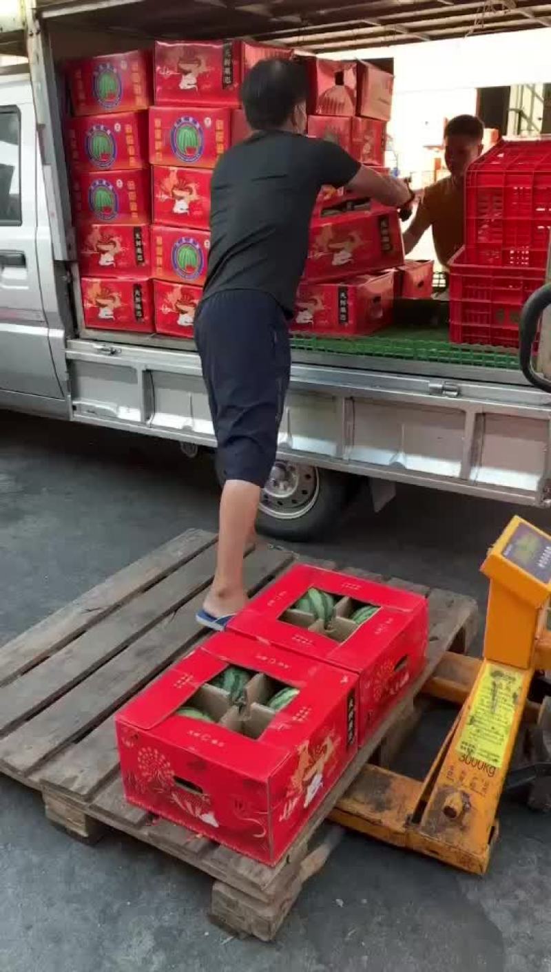 西瓜，麒麟瓜，甜王，黑美人，美都，金城五号