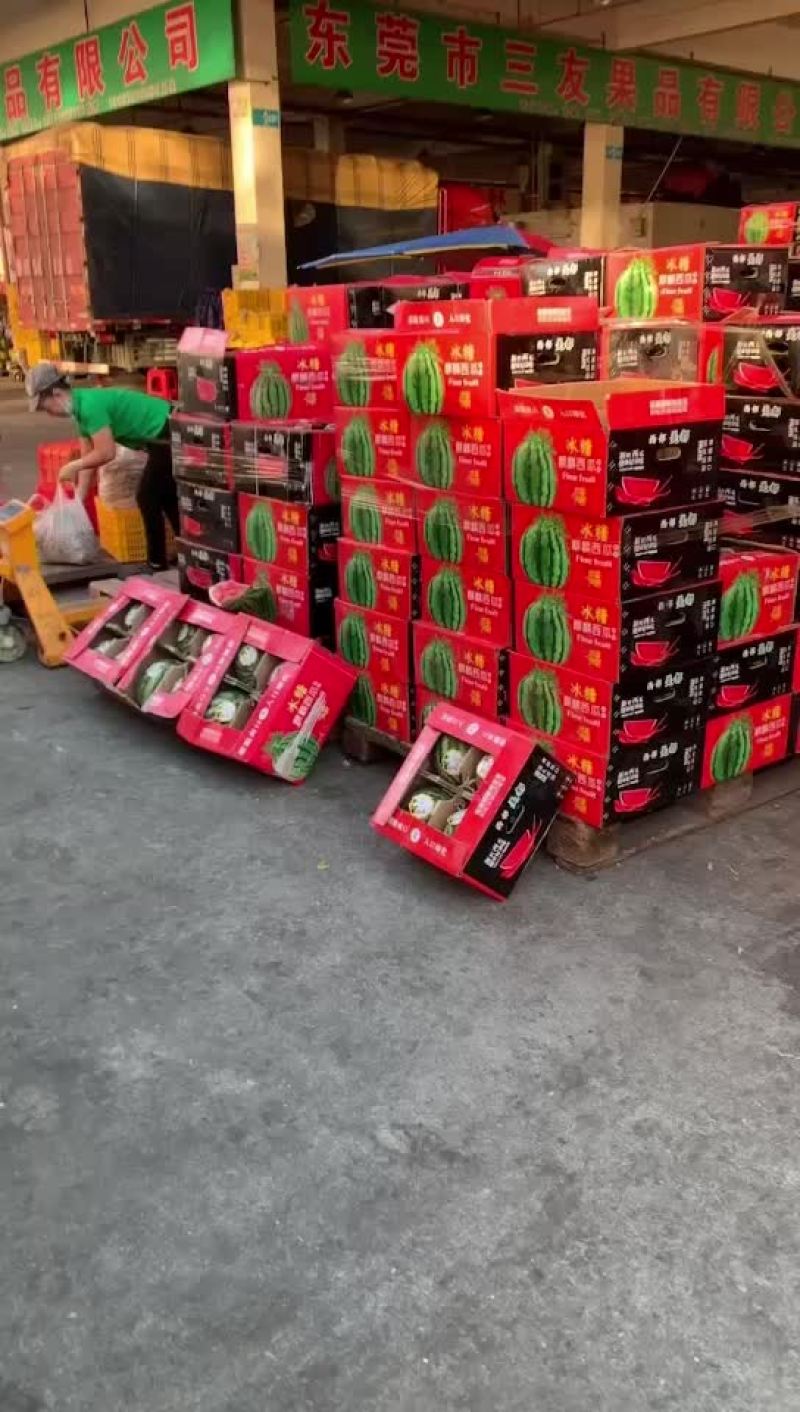 西瓜，麒麟瓜，甜王，黑美人，美都，金城五号