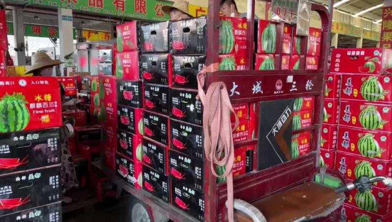 西瓜，麒麟瓜，甜王，黑美人，美都，金城五号