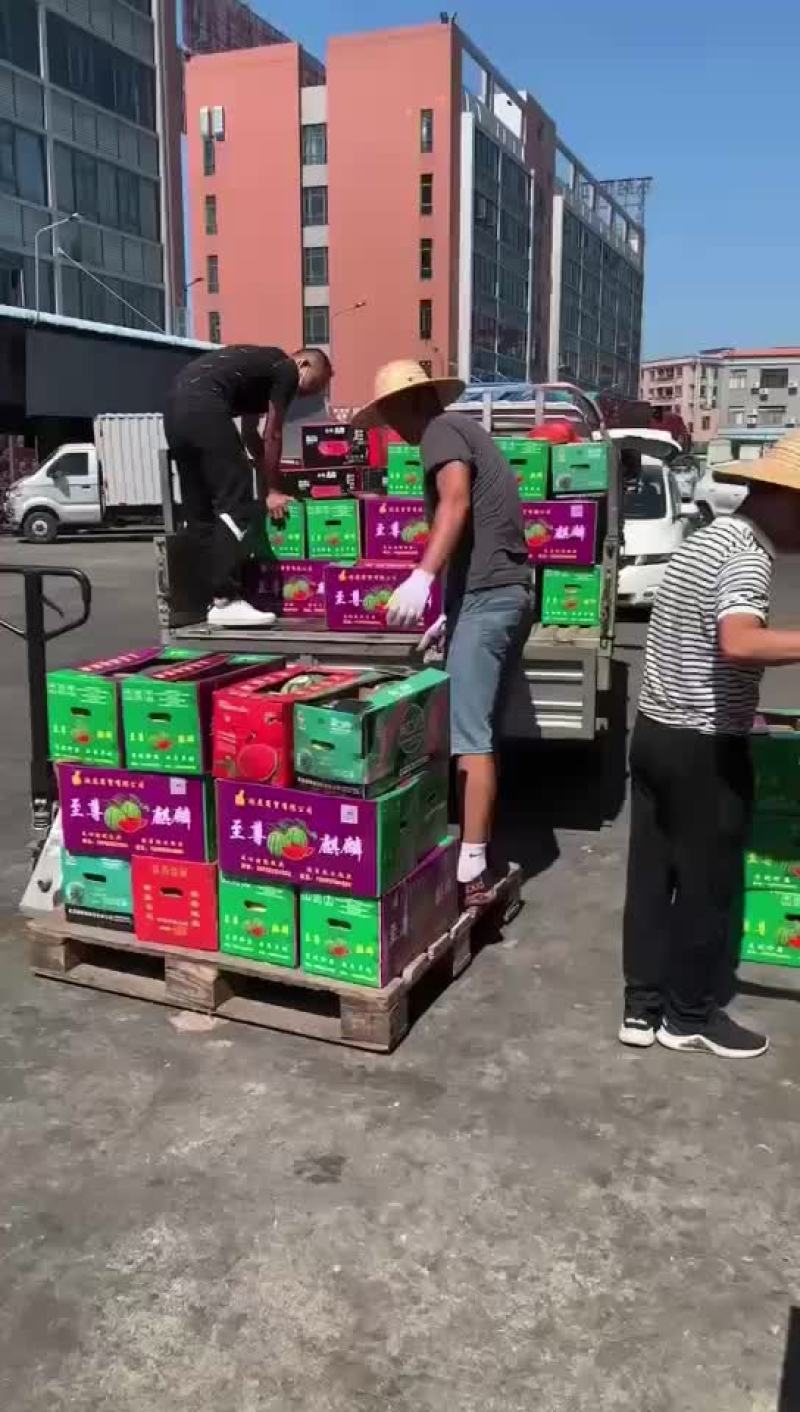 西瓜，麒麟瓜，甜王，黑美人，美都，金城五号
