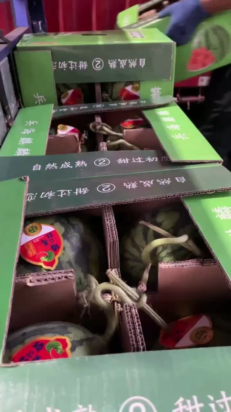 西瓜，美都，甜王，大棚西瓜，甘美，压砂瓜
