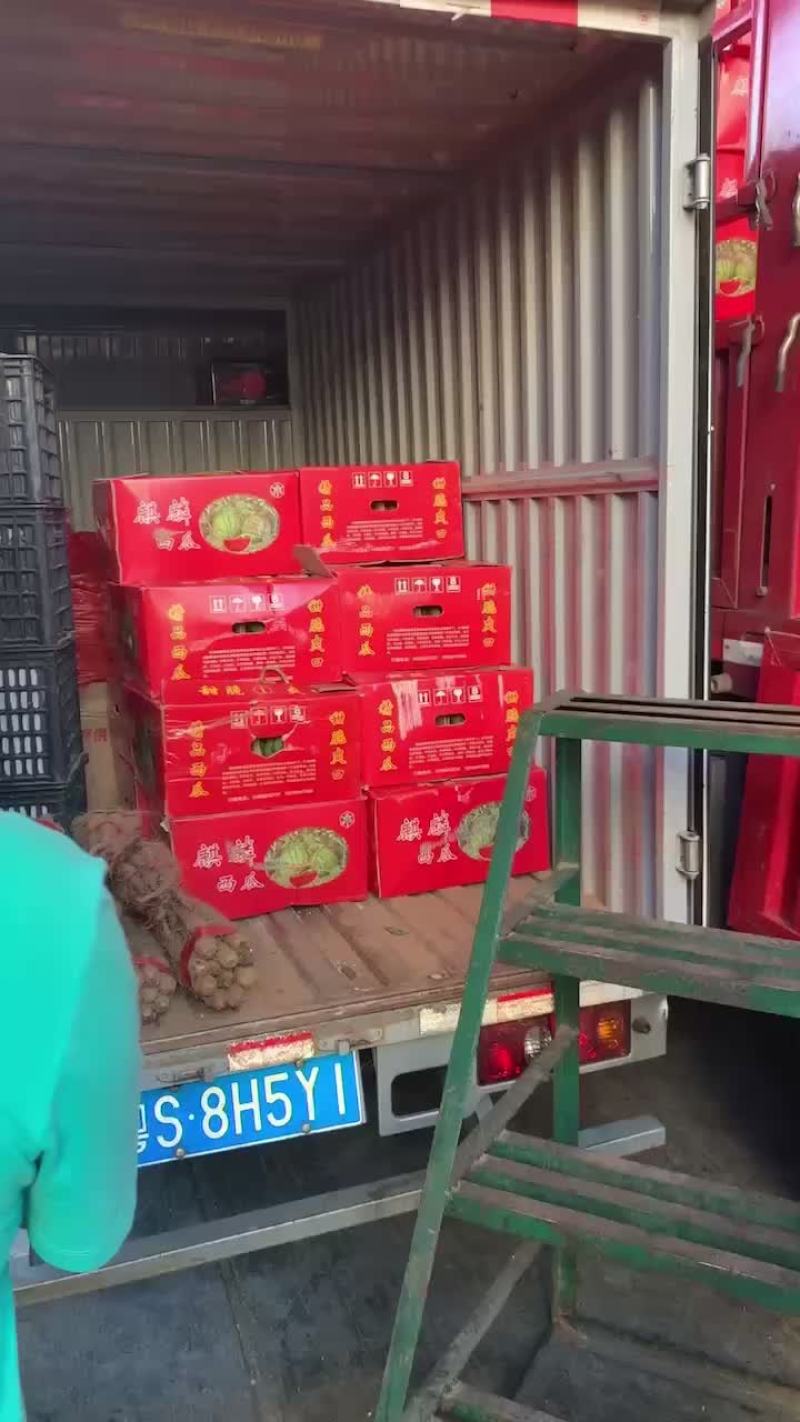 西瓜，美都，甜王，大棚西瓜，甘美，压砂瓜