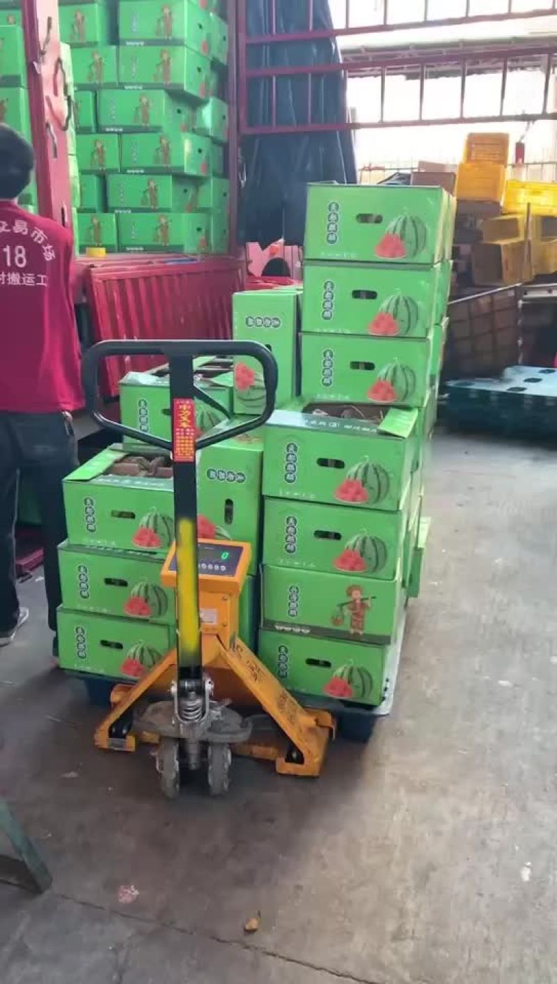 西瓜，美都，甜王，大棚西瓜，甘美，压砂瓜