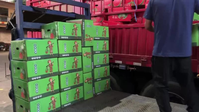 西瓜，美都，甜王，大棚西瓜，甘美，压砂瓜