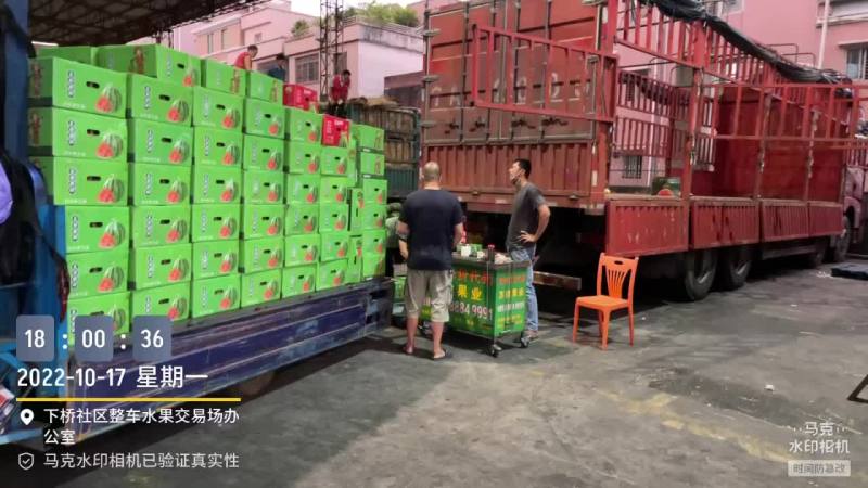 西瓜，美都，麒麟瓜，黑美人，甜王，硒砂瓜，花瓜，绿爽