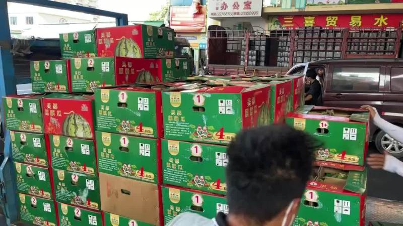 各种西瓜，甜王，黑美人，花瓜，美都麒麟瓜