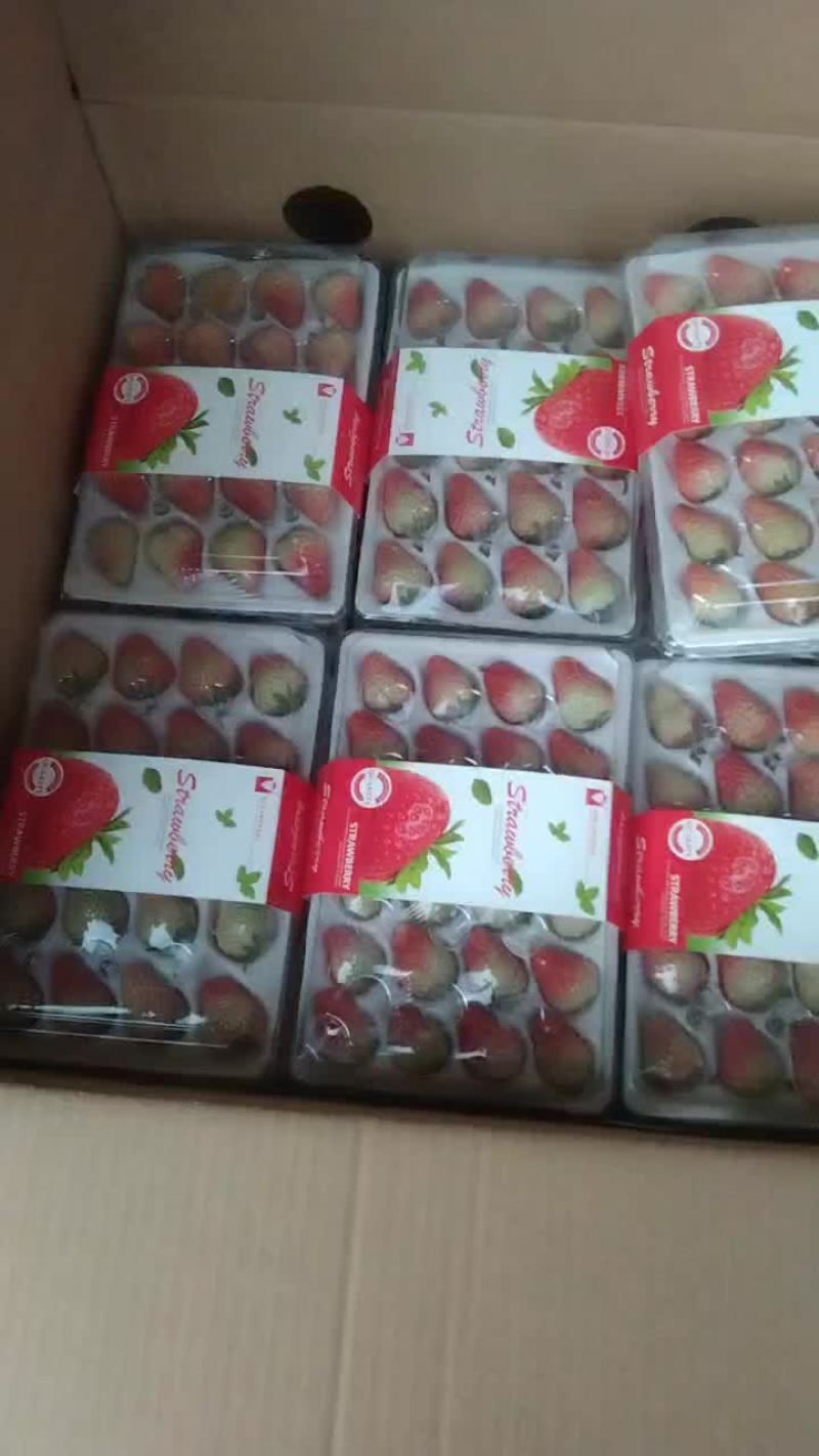 丹东九九草莓烘焙专用