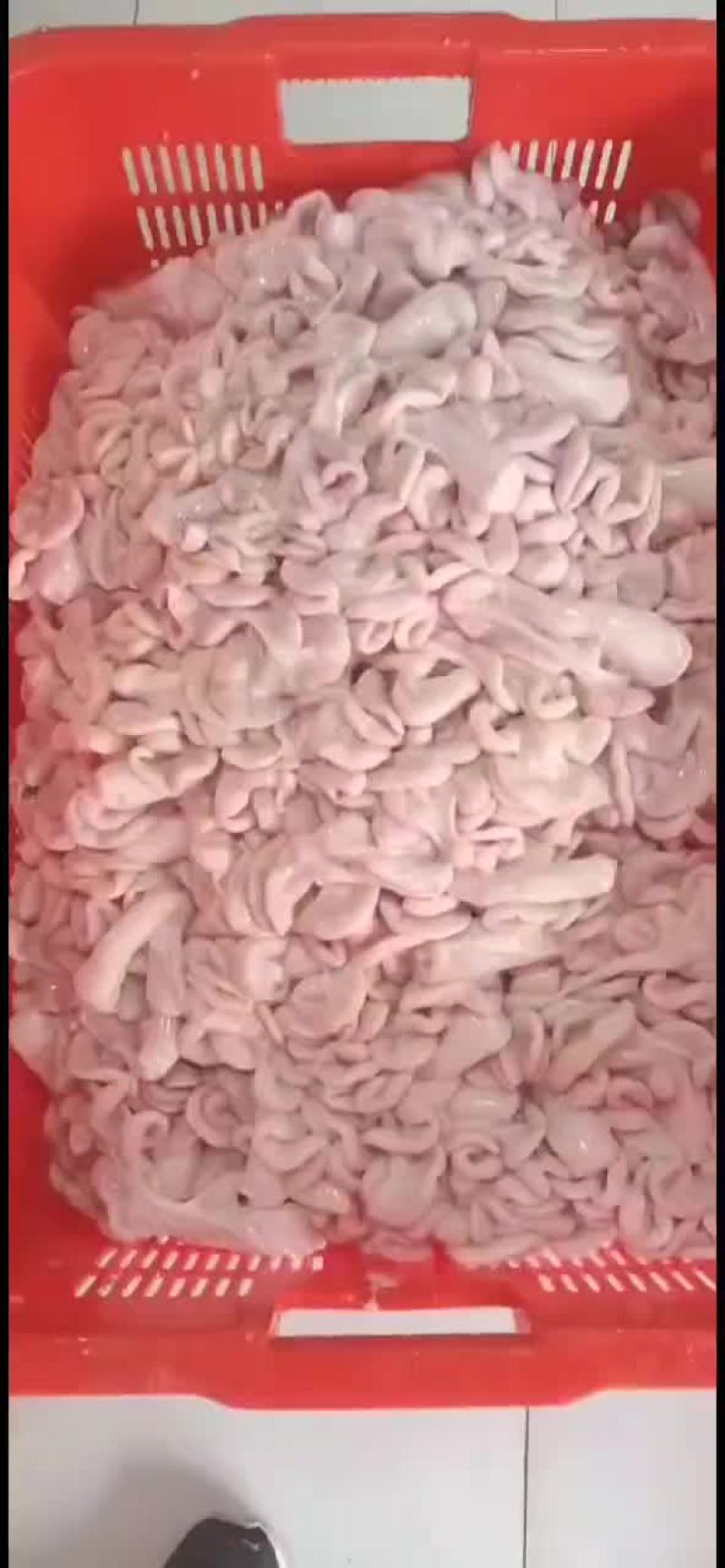 生肠