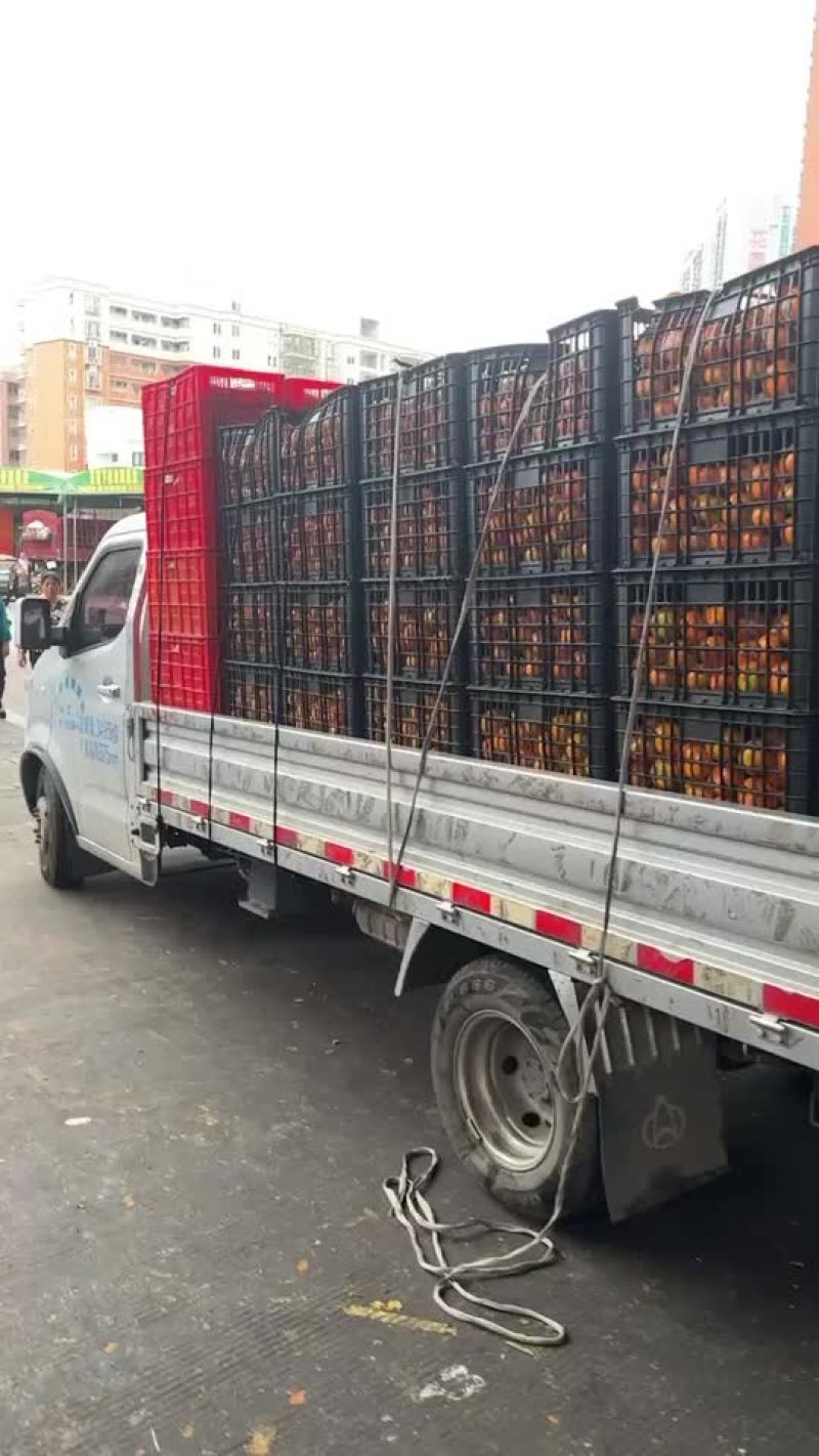 荔枝
