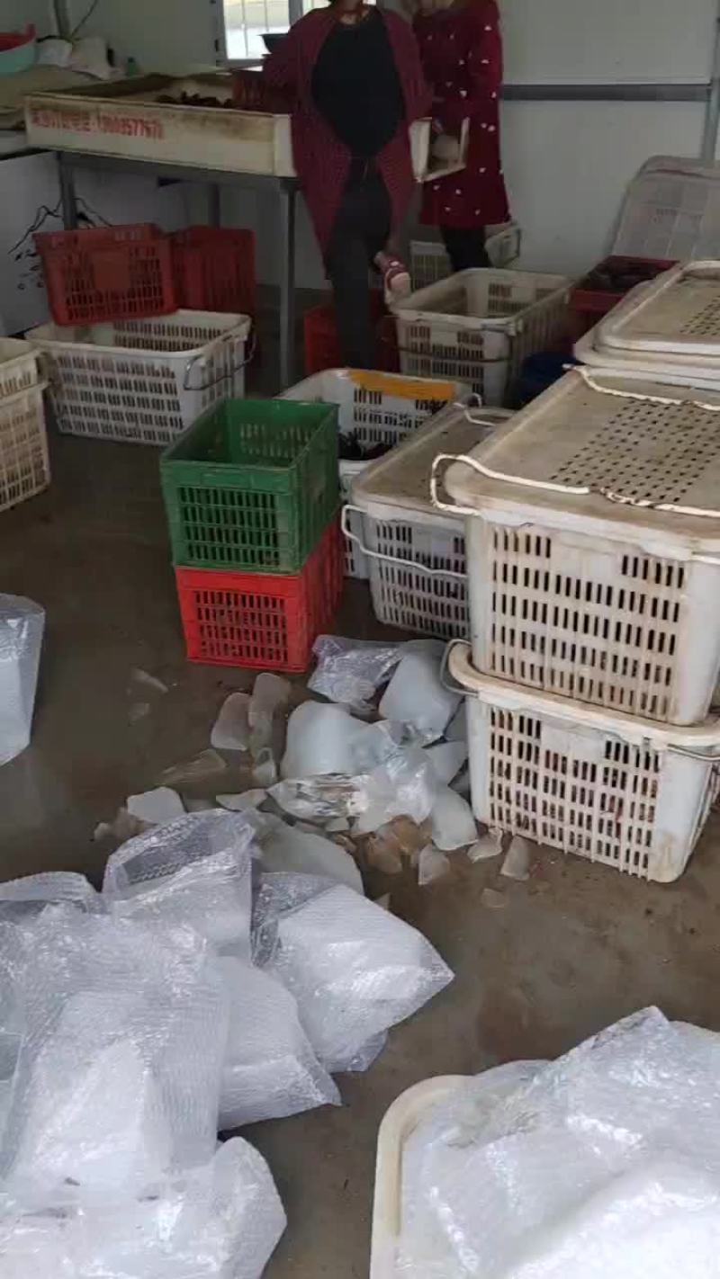 小龙虾