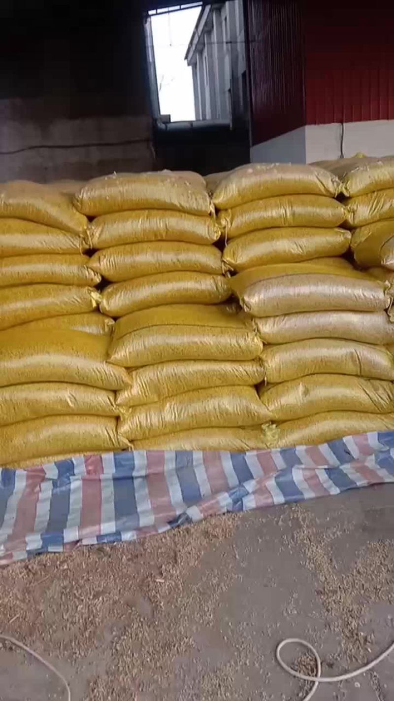 高蛋白黄豆降价出库了