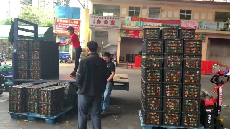 西瓜，散装，箱装，美都，花瓜，甜王