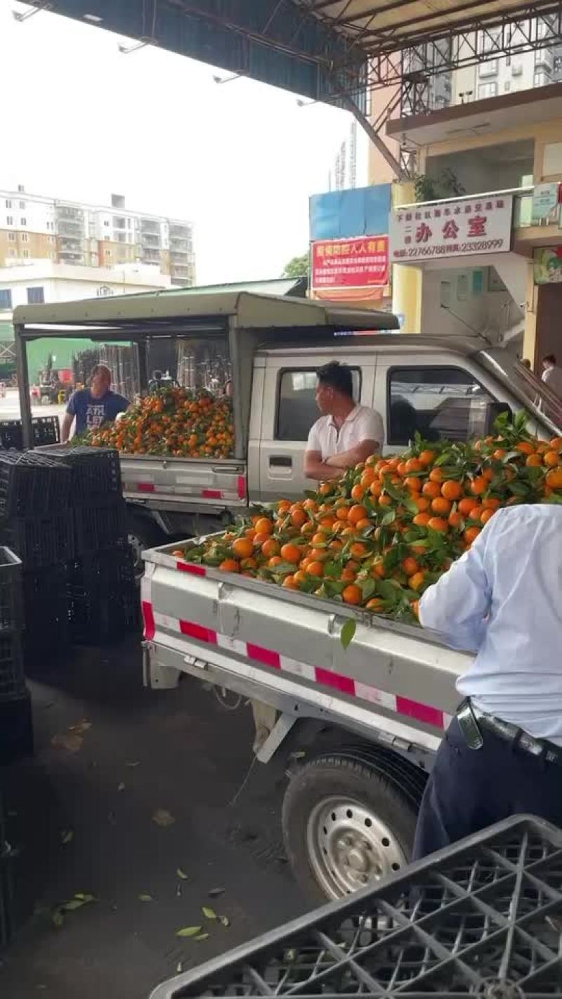 西瓜，散装，箱装，美都，花瓜，甜王