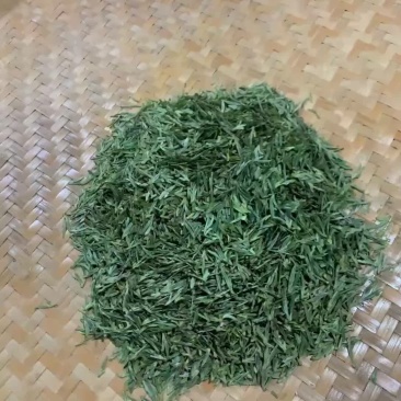 品高山白茶享高启强人生