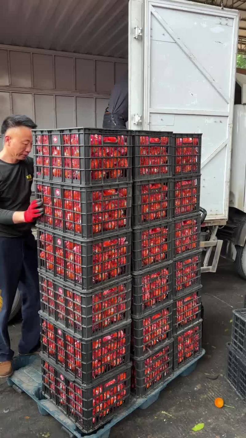 西瓜，桃子，荔枝，李子，葡萄，冬枣，蜜桔