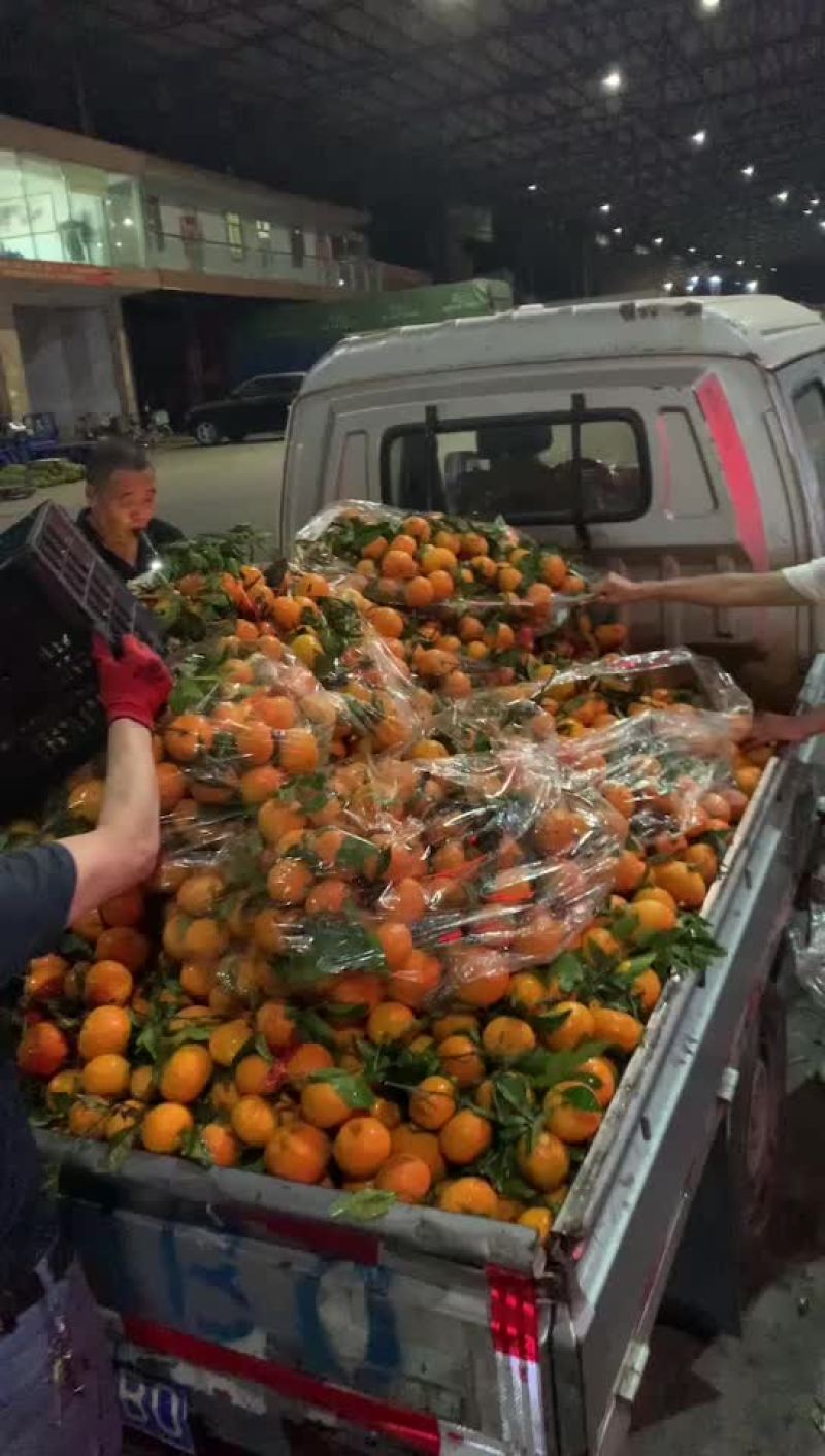 西瓜，桃子，荔枝，李子，葡萄，冬枣，蜜桔