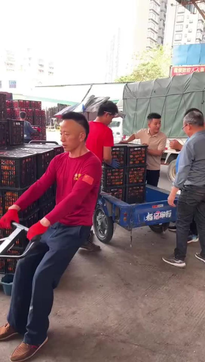 西瓜，桃子，荔枝，李子，葡萄，冬枣，蜜桔