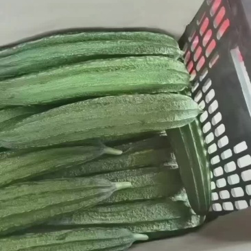 角瓜基地种植，专业打包，团队