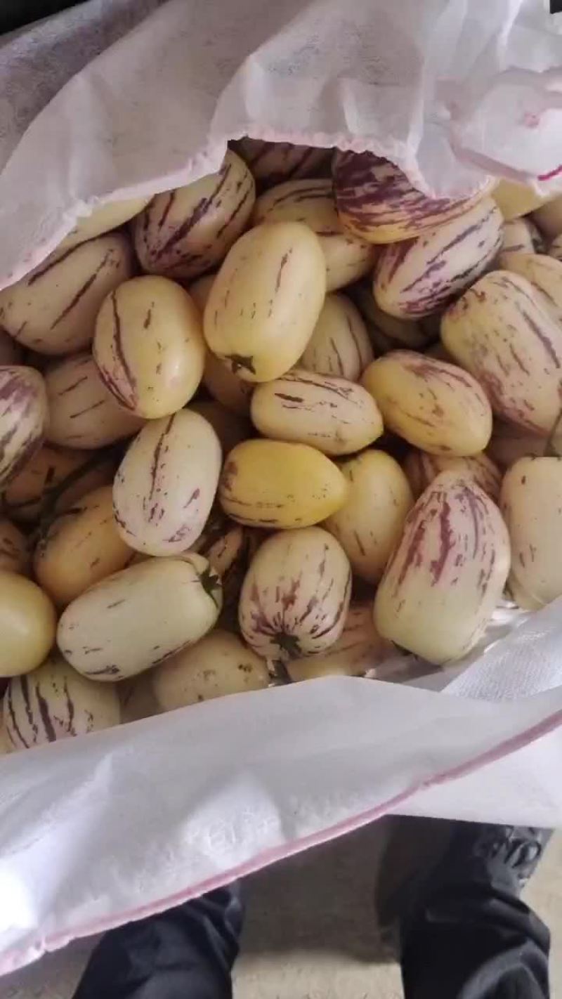 人生果