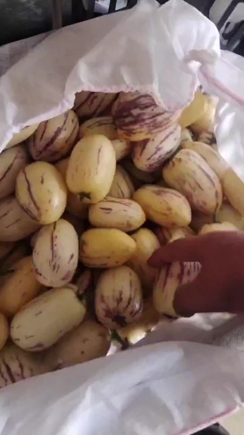 人生果