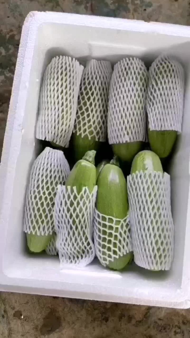 西葫芦
