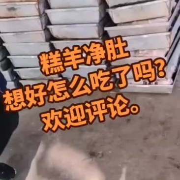 羊净肚