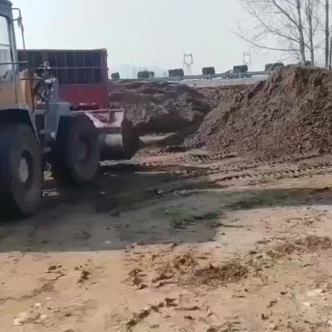优质兔粪装车发货